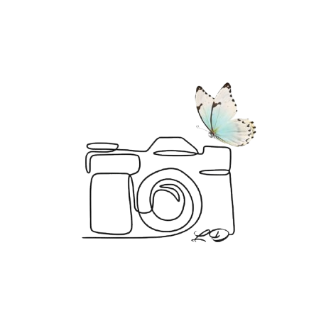 Logo photographe partenaire pour site vitrine à Langon — L'objectif de Laurie